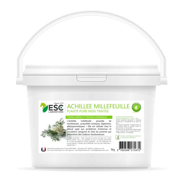 Achillée millefeuille | ESC Laboratoire