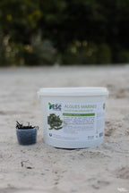 Algues marines | ESC Laboratoire