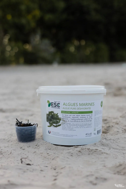 Algues marines | ESC Laboratoire