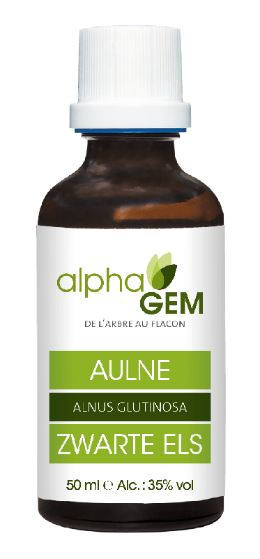 Aulne Glutineux | AlphaGem