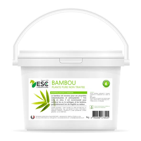 Bambou | ESC Laboratoire