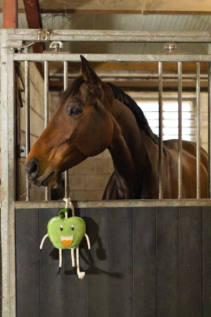 Foodie Friends Excellent Horse
