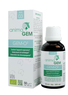 GEM-O2 AnimaGem | AlphaGem