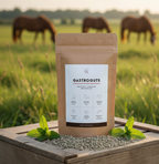 GastroGuts confort gastrique cheval Horse Remedy