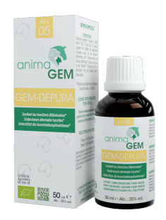 GEM-DEPURA AnimaGem | AlphaGem