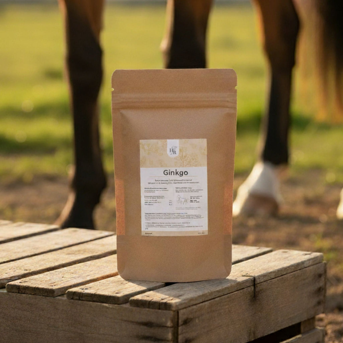 Feuilles de ginkgo biloba pour chevaux