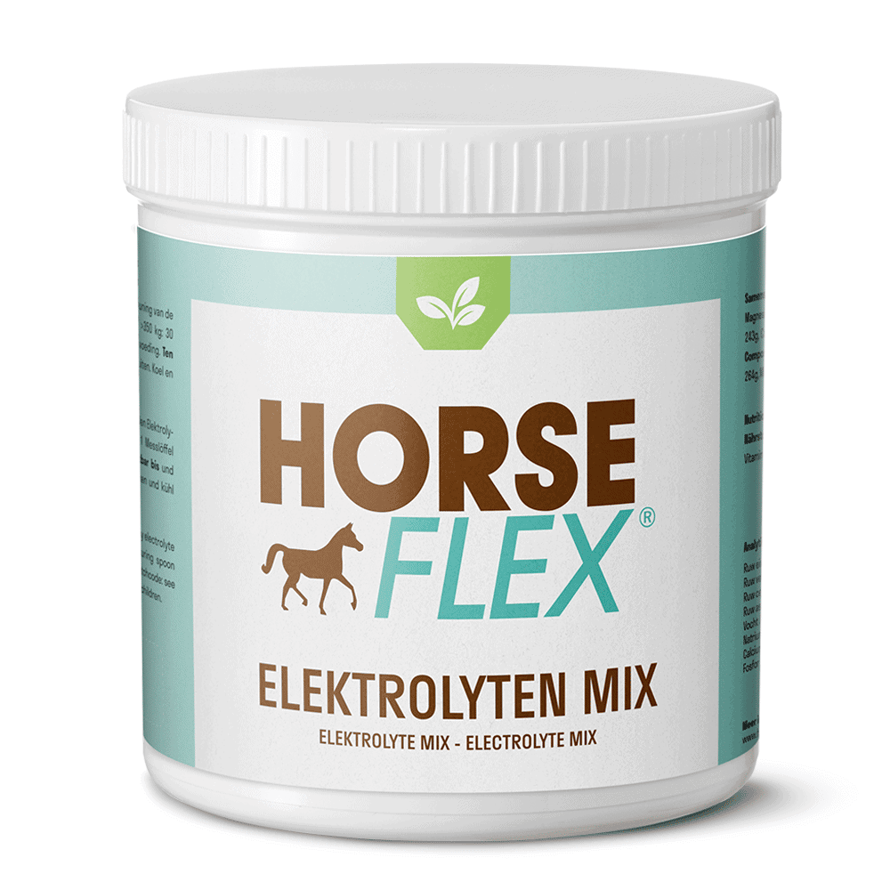 HorseFlex Mélange d'électrolytes