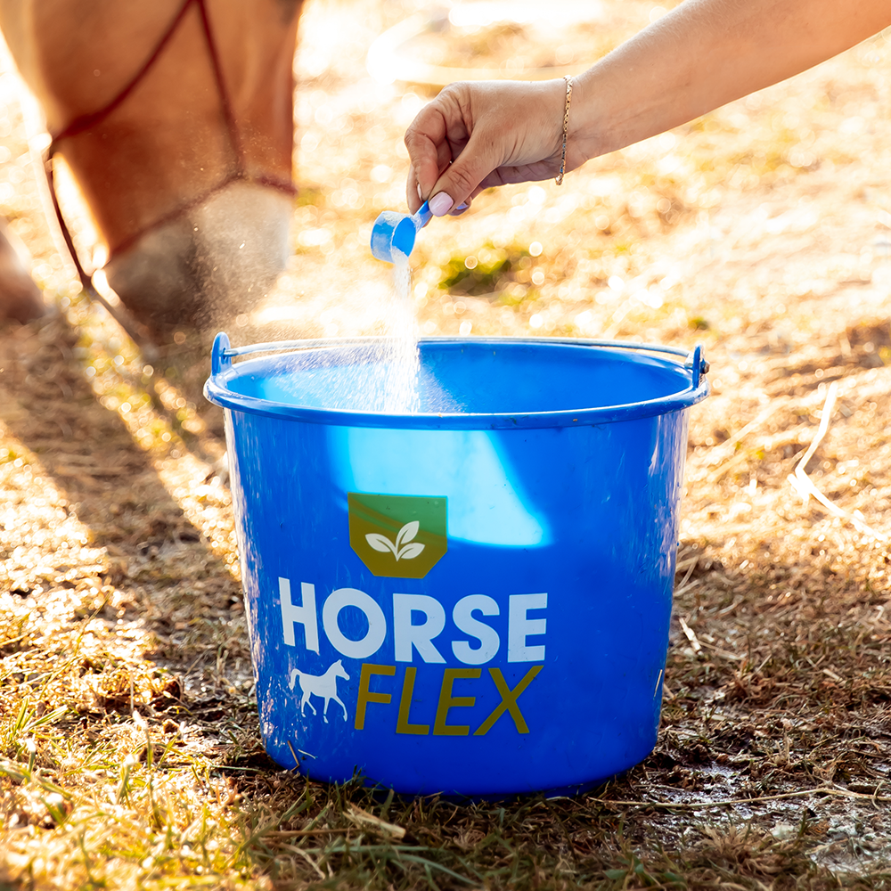Seau HorseFlex 12L