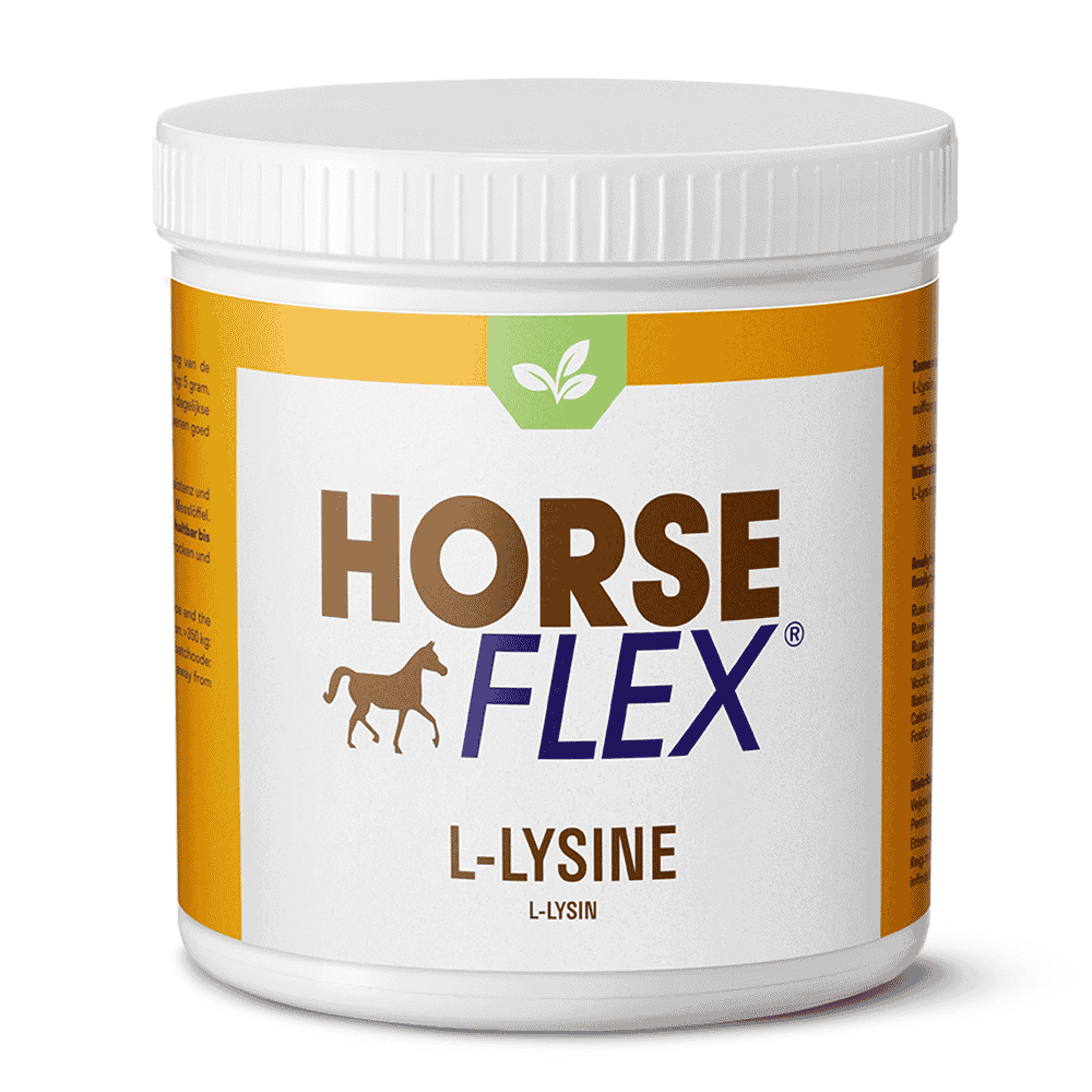 HorseFlex L-Lysine