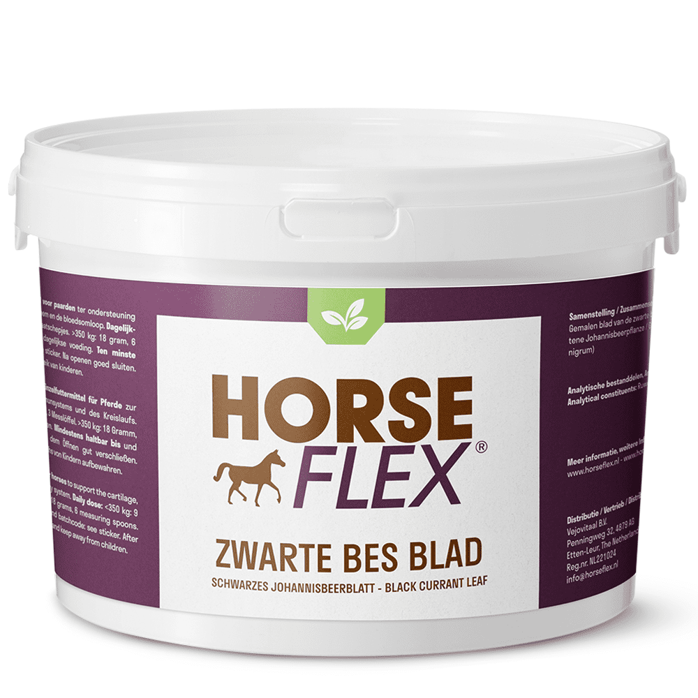 Feuille de cassis HorseFlex