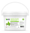 Menthe poivrée | ESC Laboratoire