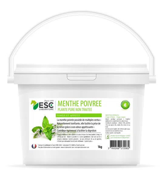Menthe poivrée | ESC Laboratoire