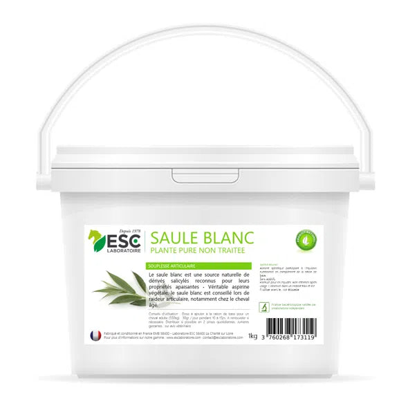 Saule blanc | ESC Laboratoire