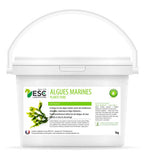 Algues marines | ESC Laboratoire