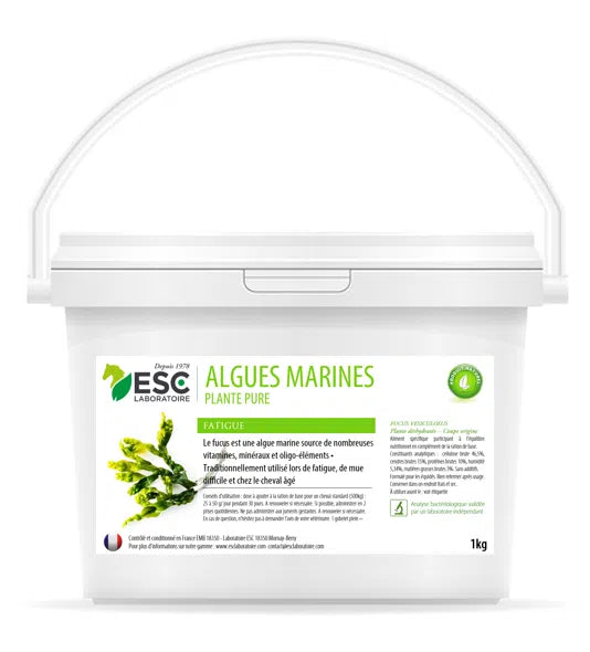 Algues marines | ESC Laboratoire