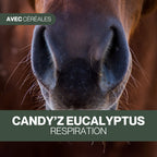 Candy'z Classique | Friandises naturelles avec céréales