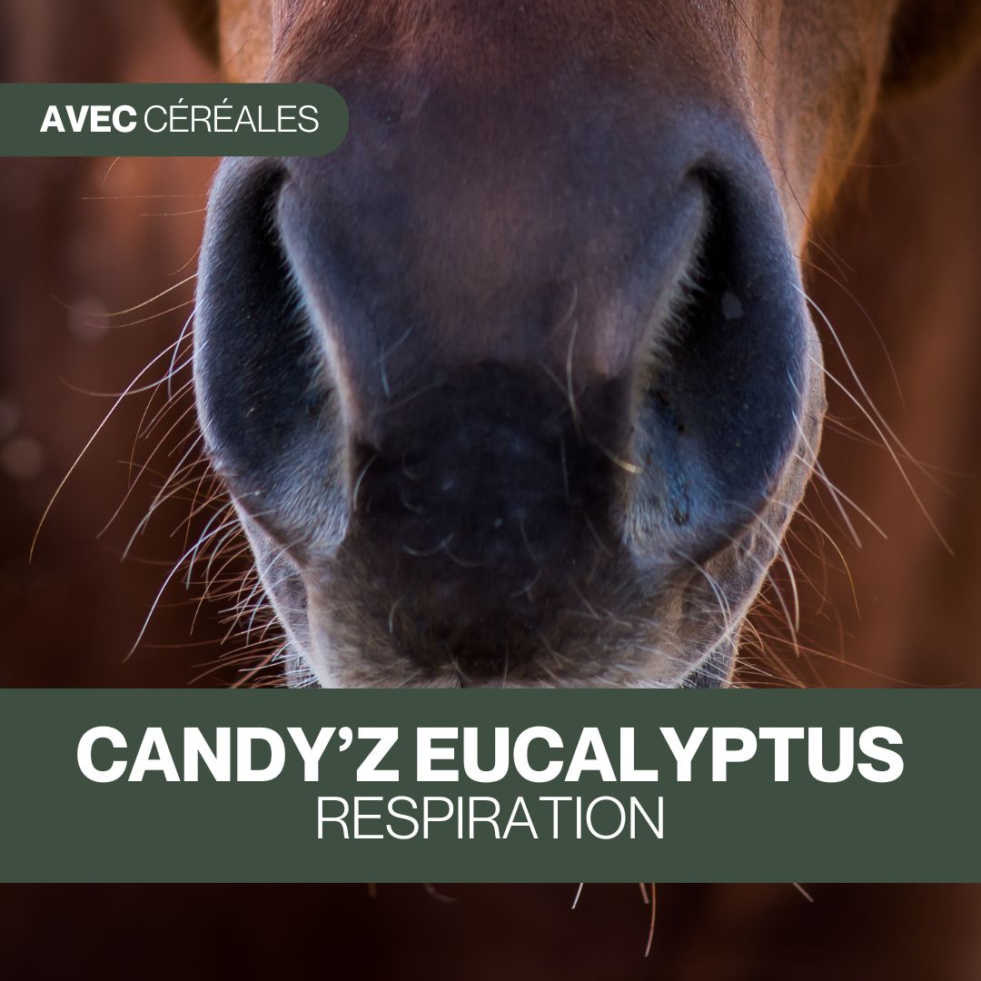 Candy'z Classique | Friandises naturelles avec céréales