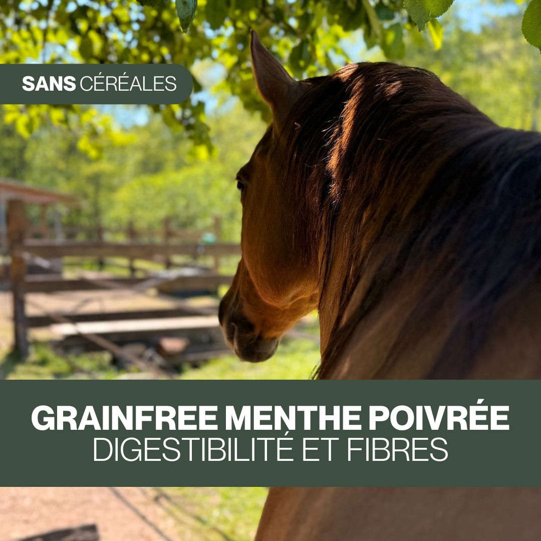 Candy'z GrainFree | Friandises naturelles sans céréales