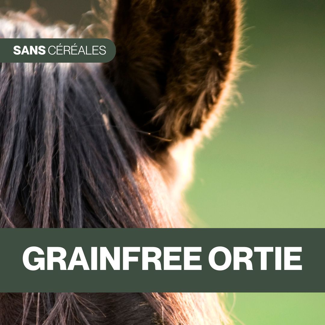 Candy'z GrainFree | Friandises naturelles sans céréales