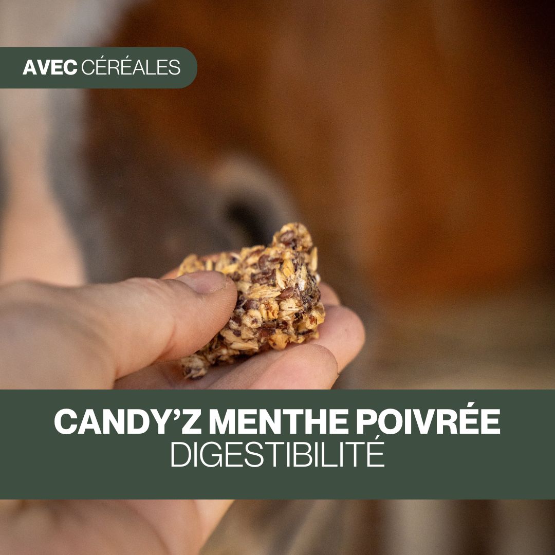 Candy'z Classique | Friandises naturelles avec céréales