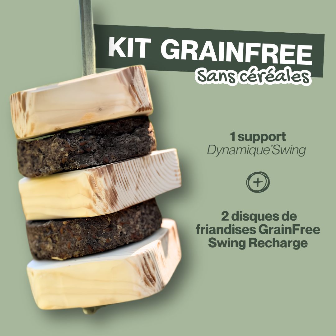 Dynamique'Swing | CZH Feed&Care