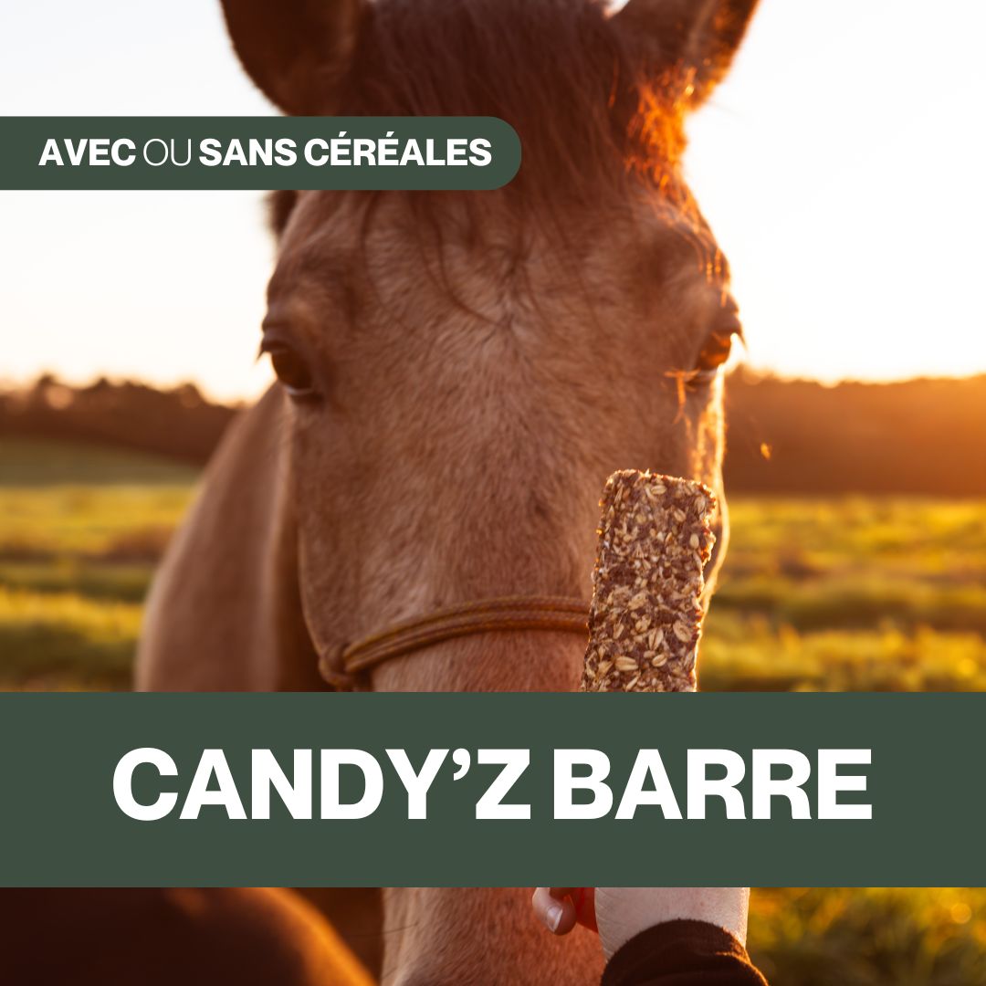 Candy'z Barre format XXL