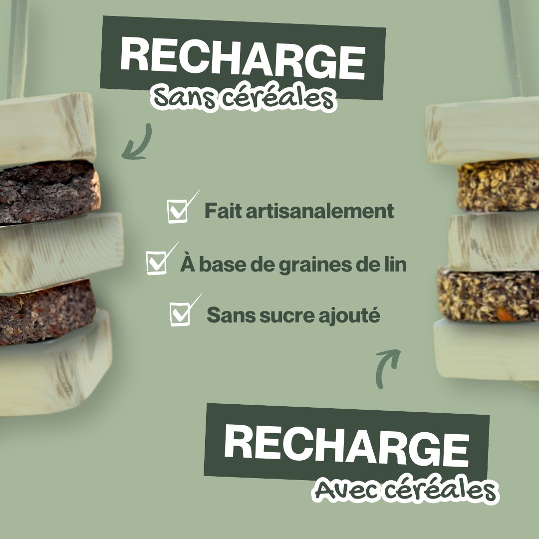 Dynamique'Swing | CZH Feed&Care