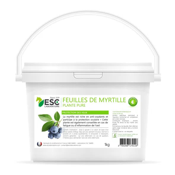 Feuille de myrtille | ESC Laboratoire