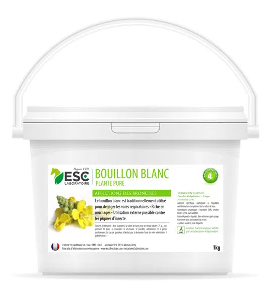 Bouillon blanc | ESC Laboratoire