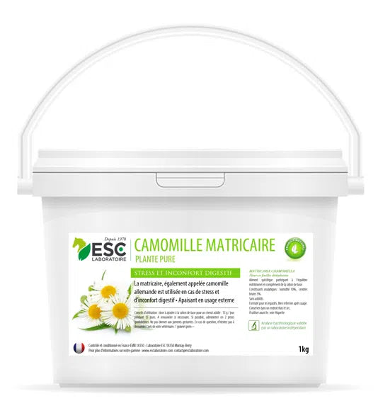 Camomille matricaire | ESC Laboratoire