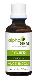 Figuier | AlphaGem