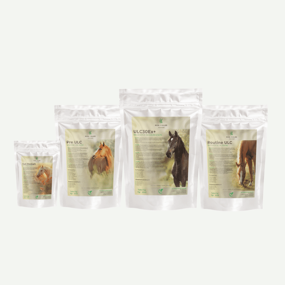 Gastro Care Kit, Ron Fields Nutrition
