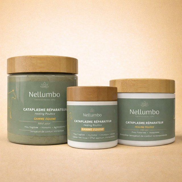 Cataplasme réparateur Nellumbo