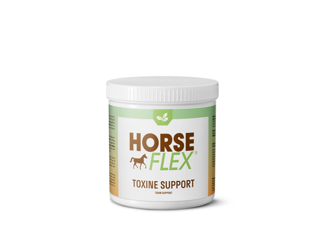 Toxine Support HorseFlex