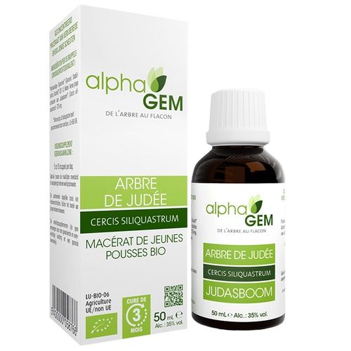 Arbre de Judée | AlphaGem