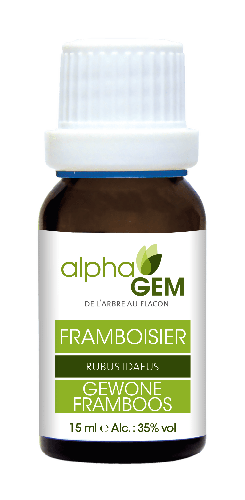 Framboisier | AlphaGem
