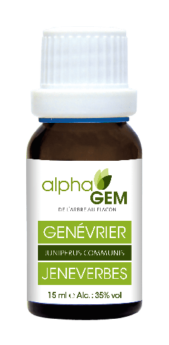 Genévrier | AlphaGem