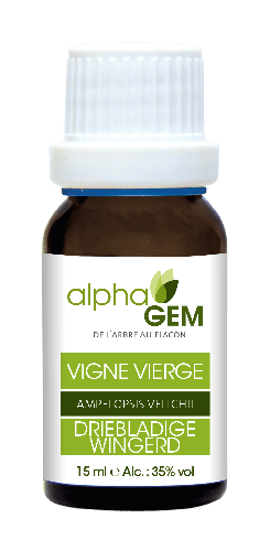 Vigne Vierge | AlphaGem