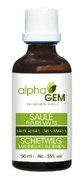 Saule Fleurs Mâles | AlphaGem