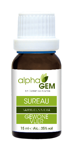 Sureau | AlphaGem