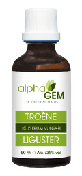 Troène | AlphaGem