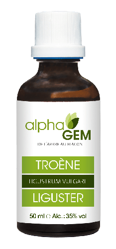 Troène | AlphaGem