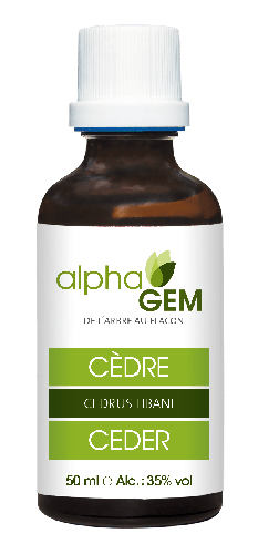 Cèdre du Liban | AlphaGem