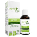 Hêtre | AlphaGem