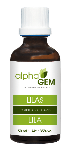 Lilas | AlphaGem